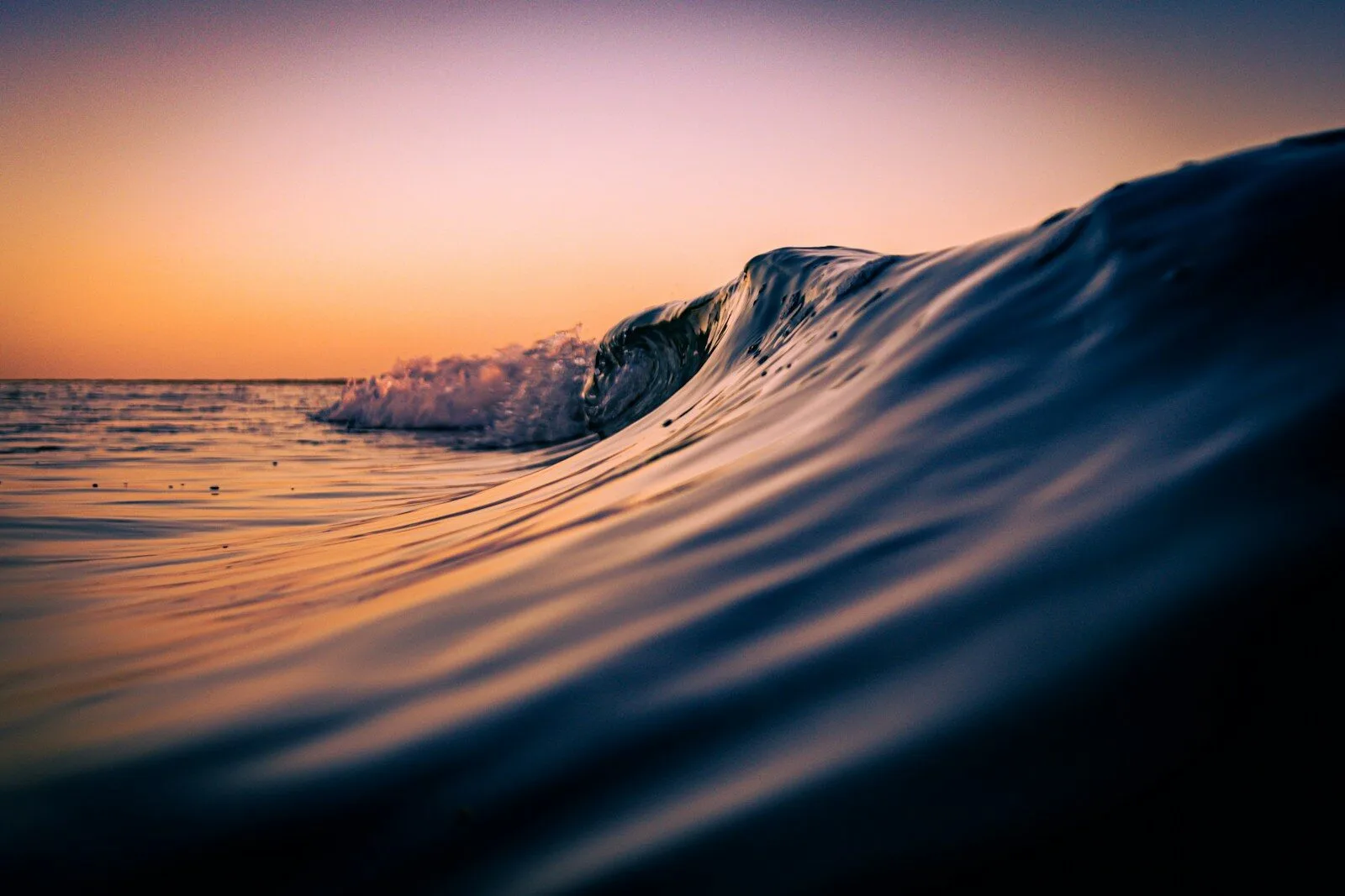 A dark ocean wave curling under a warm orange sky at low sun